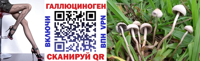 MEGA маркетплейс  закладка  Батайск  Псилоцибиновые грибы Psilocybe 